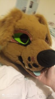 Fursuit psa s floppy ears - 8