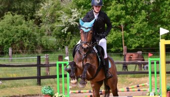 Sportovní pony B - 8