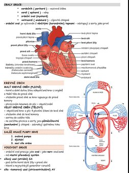 KOMPLET na přijímačky medicína Brno Masarykova MU - 8