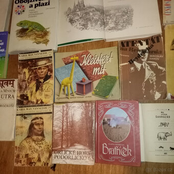 PRODÁM RŮZNÉ STARÉ KNIHY - UMĚNÍ HISTORIE, MÍSTOPIS AJ. - 8