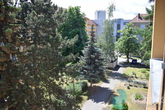 Pronájem, byt 1+1, Nerudova ul., České Budějovice, balkon, s - 8