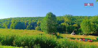 Prodej louky, 1665 m², Nižbor - 8