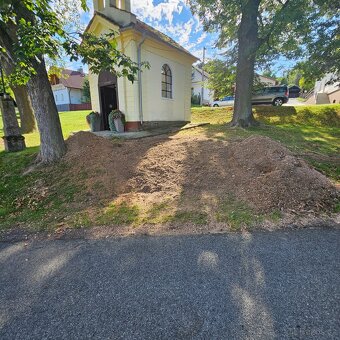 Likvidace, odstranění pařezů, frézování pařezu - 8