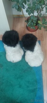 Fursuit - 8