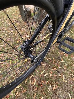 Ctm Dirt - 8