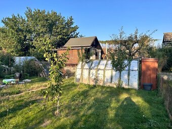 Prodej zahrady s chatkou, CP 284m2, obec Hrušovany u Brna - 8