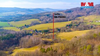 Prodej louky, 3251 m², Radeč u Horní Police, Žandov - 8
