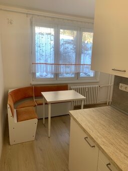 Pronájem bytu 2+1 Nejdek (po rekonstrukci) - 8