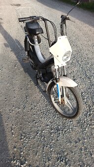 2x Manet Korado - 8