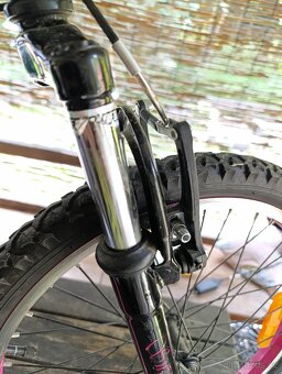 Swan "20" mtb croxx - 8