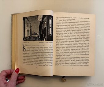 Bílá velryba - Herman Melville - 8