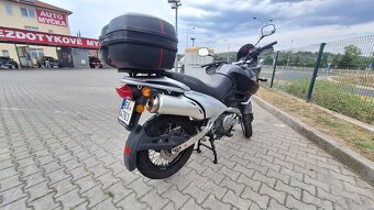 Suzuki XF 650 Freewind - 8