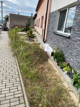 Realizace a údržba zahrad a veřejné zeleně - 8