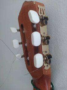Kytara s pouzdrem - 8