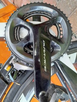 Cipollini - 8