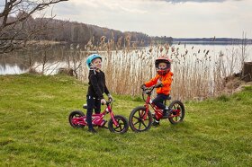 Elektrické odrážedlo PoloVolt ST-16 - NOVÉ, DPH - 8