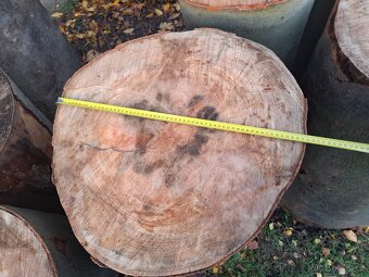 Špalek na štípáni dřeva - bukový - 8