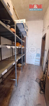 Prodej obchod a služby, Sezemice, ul. Masarykova - 8