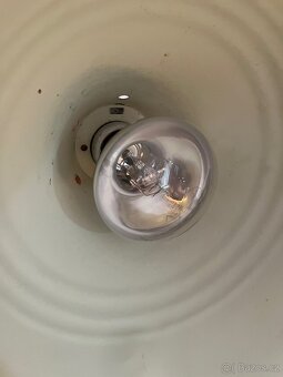 CHAMELEONI JEMENSKÝ HOLKA/KLUK + TERÁRIUM - 8