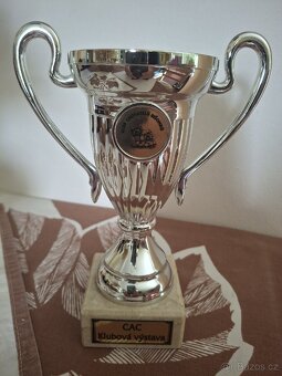 Krásné poháry - 8