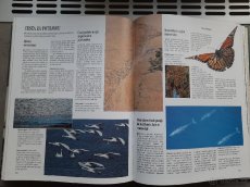 PRODÁM ENCYKLOPEDII SOUKROMÍ ŽIVOČICHŮ - 8