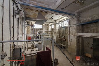 Prodej, domy/památka/jiné, 3090 m2, Mikulášská, Pod Bezručov - 8