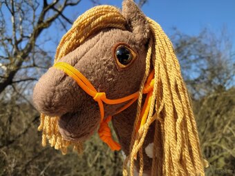 Hobby horse - 8