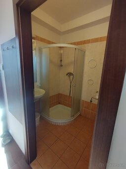 Pronájem bytu mestec kralove - 8