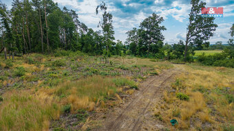 Prodej lesa, 5176 m², Dlouhá Lhota - 8