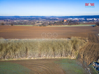 Prodej pole, 24512 m², Horšovský Týn - 8