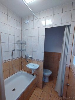 Pronajmu byt 1+1 v Telči - 8