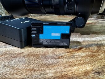 Canon EOS 5D Mark IV + Tamron for Canon SP 150-600 mm F/5-6. - 8