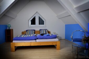 Pronájem vily  CP 1156,5m2, Rozdrojovice, okres Brno-venkov - 8