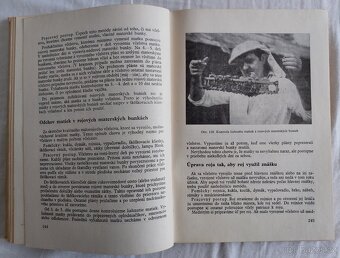 Práce včelára - Ján Milla - 8