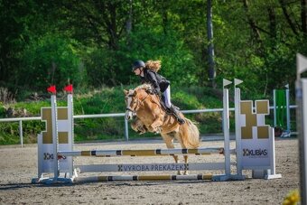 Na prodej klisna 141 cm, Pony B - 8