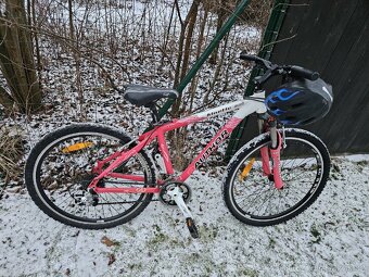 Dívčí kolo AUTHOR - 8