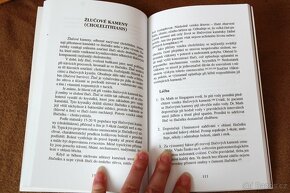I. Bukovský - Miniencyklopedie přírodní léčby - 8