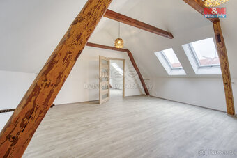 Prodej obchod a služby, 170 m² s podkrovním bytem - 8