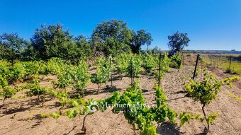 Na prodej pozemek - zahrada 1 132 m² s krásným výhledem + mo - 8