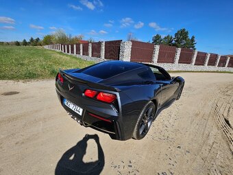 Chevrolet Corvette C7 Stingray Targa - 8