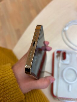 iPhone 13 PRO MAX - 8