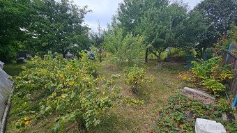 Prodej zahrady s chatou - Tachov - 8