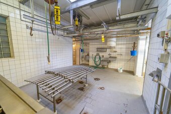 Starý Ples, prodej jatek 584 m2 s rodinným domem 287 m2 na p - 8
