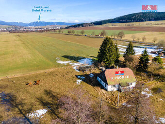 Prodej rodinného domu, 202 m², Červená Voda - 8