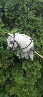 Hobby Horse - 8