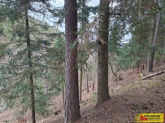 Letovice, lesní pozemky, 12 020 m² – pozemek - 8