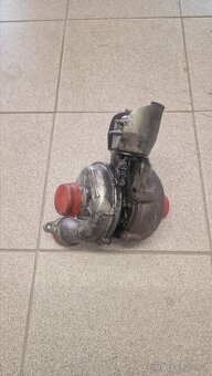 Turba na repas, různé druhy - 8