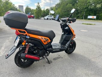 Prodám KENTOYA HAMSTER I - 8