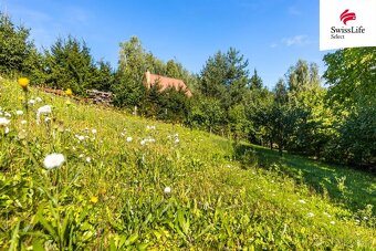 Prodej rybníku (vodní plochy) 5214 m2, Velké Bílovice - 8