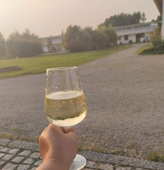 Přenechám pronájem Statku , včetně Sálů , bytů, hal, stájí, - 8